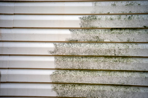 Best Stone Veneer Siding  in Springdale, NJ